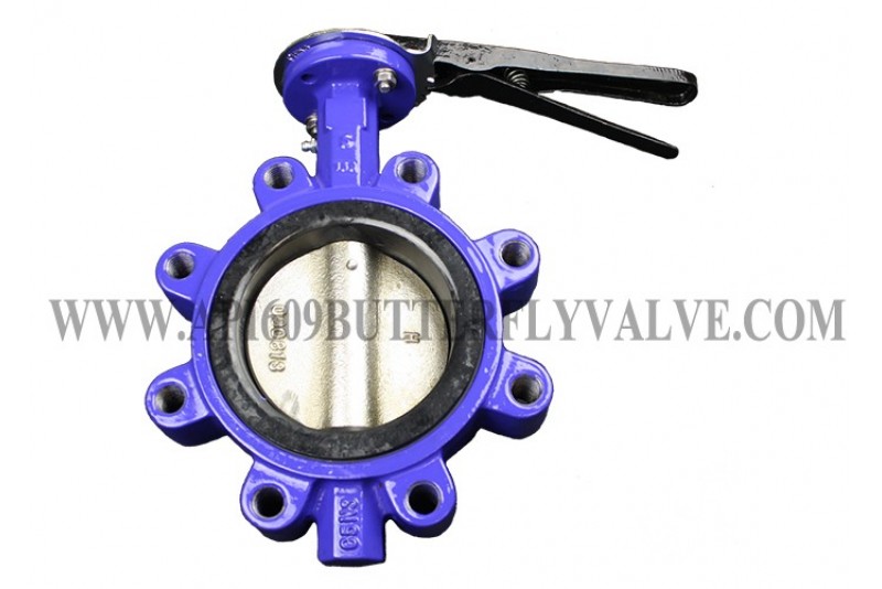 Lug Style Resilient Seated Concentric API609 Ductile Iron Butterfly Valve For Water Plants