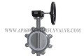 NBR Liner Stainless Steel Body Concentric API609 Butterfly Valve